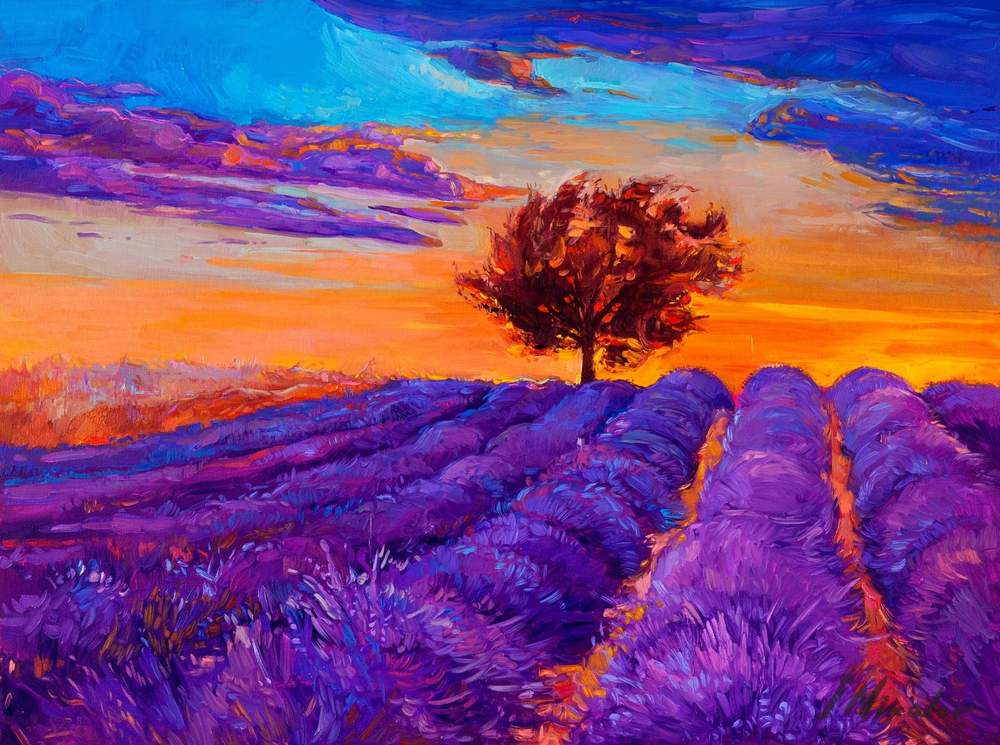 Lavender Field — original oil painting by Ivailo Nikolov