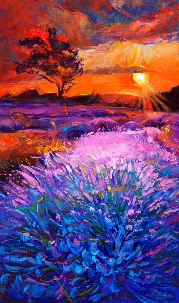 Blooming Lavender at Sunset — original oil painting by Ivailo Nikolov